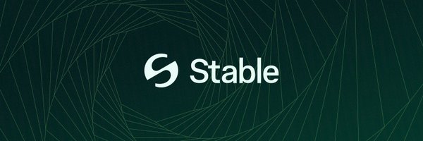 The StableChain powered by USDT, image by: @stable on X