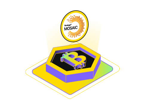 The Bitcoin Bet: How Strategy (Formerly MicroStrategy) Transformed into the World's Largest Digital