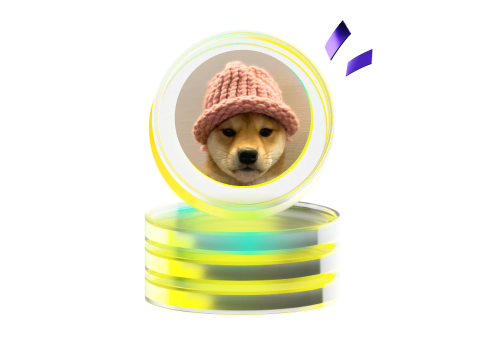 Dogwifhat (WIF) 研究：從迷因到數十億美元的市值